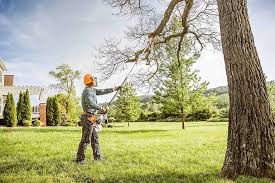 Mulching Services in Mendenhall, MS