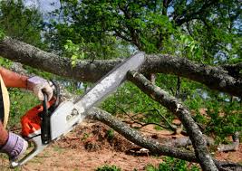 Best Lawn Mowing  in Mendenhall, MS